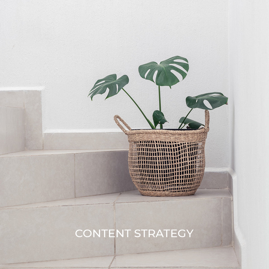 A Founder's Guide to Strategic Content Management
